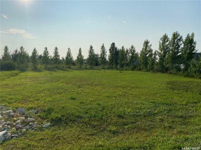 D LUCIEN LAKESHORE DRIVE, Three Lakes Rm No. 400, Saskatchewan S0K 2X0, Canada
