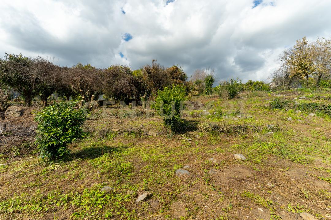 via giuseppe zinghirino, Giarre, Sicilia 95014, إيطاليا