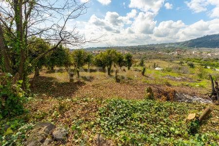 via giuseppe zinghirino, Giarre, Sicilia 95014, إيطاليا