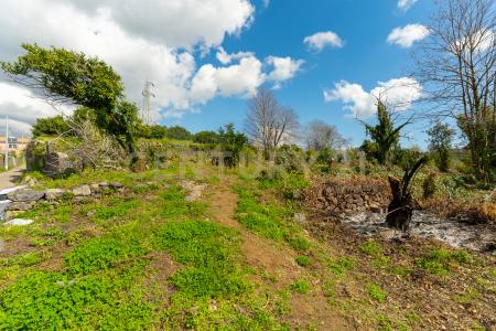 via giuseppe zinghirino, Giarre, Sicilia 95014, Italy