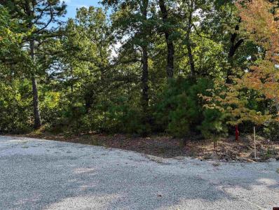 Lot 13 OZARK VIEW COURT, Norfork, Arkansas 72658, Stati Uniti