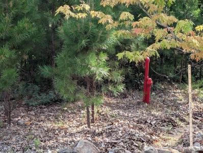 Lot 13 OZARK VIEW COURT, Norfork, Arkansas 72658, Stati Uniti