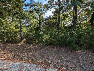 Lot 13 OZARK VIEW COURT, Norfork, Arkansas 72658, Stati Uniti