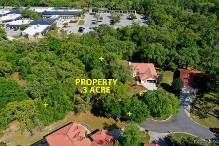 2870 W Crooked Stick Court, Lecanto, Floride 34461, États-Unis