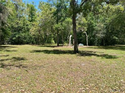 2870 W Crooked Stick Court, Lecanto, Floride 34461, États-Unis