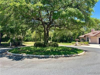 2870 W Crooked Stick Court, Lecanto, Floride 34461, États-Unis