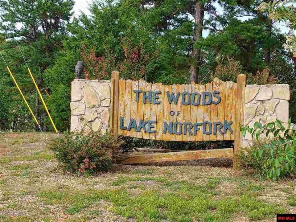 Lot 1 CR 64, Norfork, Arkansas 72658, Stati Uniti