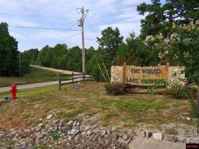 Lot 1 CR 64, Norfork, Arkansas 72658, Stati Uniti