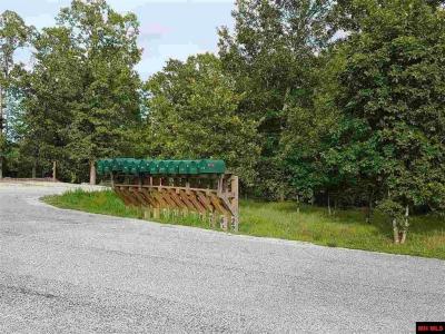 Lot 1 CR 64, Norfork, Arkansas 72658, Stati Uniti