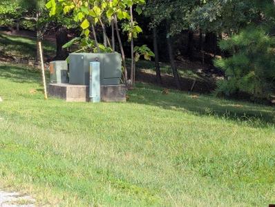 Lot 1 CR 64, Norfork, Arkansas 72658, Stati Uniti