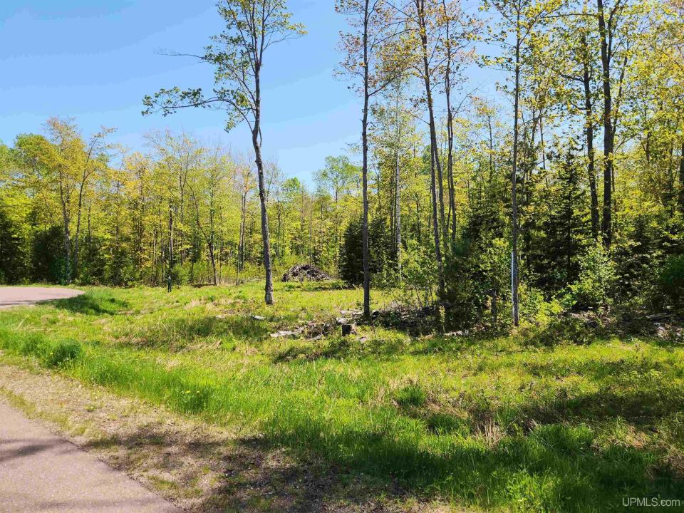 Unit 6 Greenway Dr, Chassell, Michigan 49916, États-Unis
