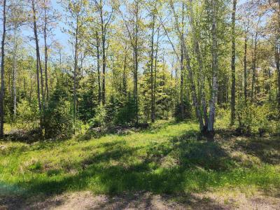 Unit 6 Greenway Dr, Chassell, Michigan 49916, États-Unis