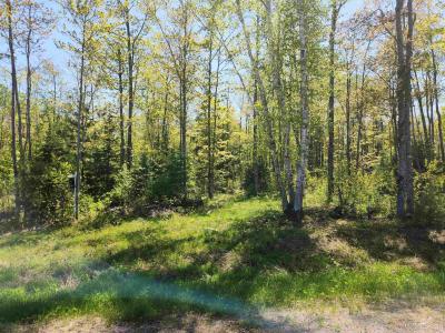 Unit 6 Greenway Dr, Chassell, Michigan 49916, États-Unis