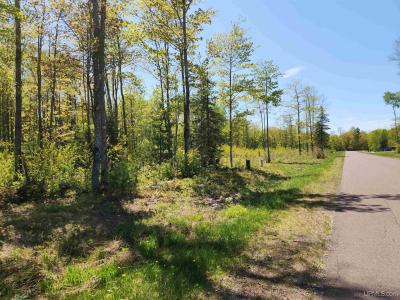 Unit 6 Greenway Dr, Chassell, Michigan 49916, États-Unis