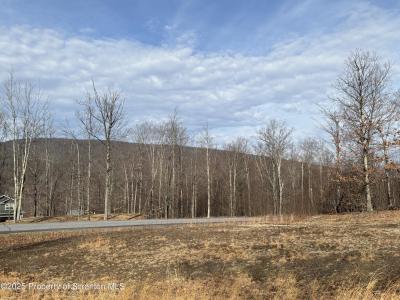 Lot 61 Summit Woods Road, Roaring Brook Twp, Pennsylvania 18444, Estados Unidos
