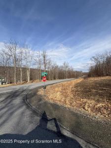 Lot 61 Summit Woods Road, Roaring Brook Twp, Pennsylvania 18444, Estados Unidos
