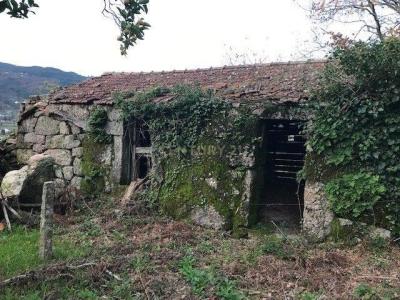 Cinfães, 維塞島 4690-585, 葡萄牙