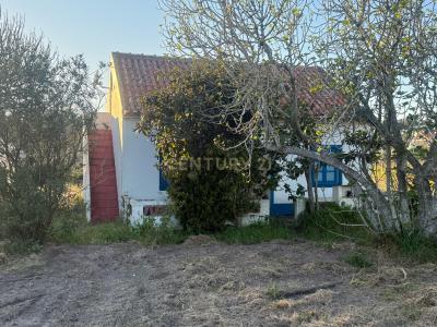 Santiago Do Cacém, Setúbal 7500-011, Portugal