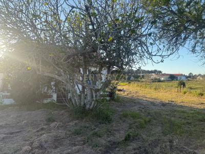 Santiago Do Cacém, Setubal 7500-011, Portugal
