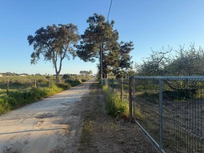 Santiago Do Cacém, Setubal 7500-011, Portugal