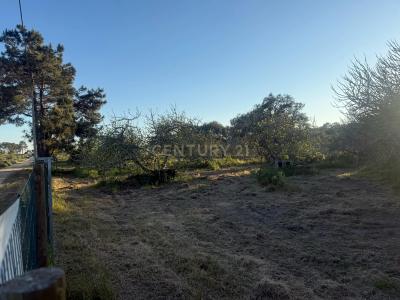 Santiago Do Cacém, Setubal 7500-011, Portugal