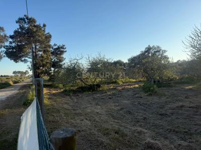 Santiago Do Cacém, Setubal 7500-011, Portugal