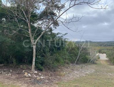 carr. Berriozabal a Ocozocoautla a 500 m del fracc. Punta Diamante S/N,, Berriozabal, Chiapas 29130, Mexico