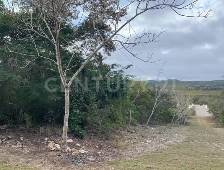 carr. Berriozabal a Ocozocoautla a 500 m del fracc. Punta Diamante S/N,, Berriozabal, Chiapas 29130, Mexico