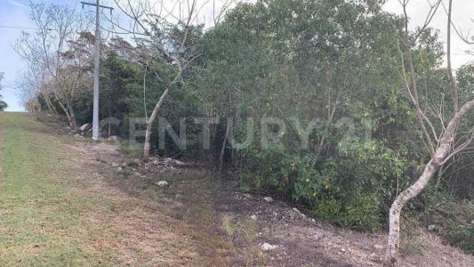 carr. Berriozabal a Ocozocoautla a 500 m del fracc. Punta Diamante S/N,, Berriozabal, Chiapas 29130, Mexico