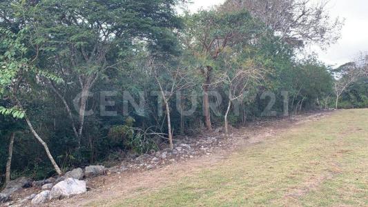 carr. Berriozabal a Ocozocoautla a 500 m del fracc. Punta Diamante S/N,, Berriozabal, Chiapas 29130, Mexico