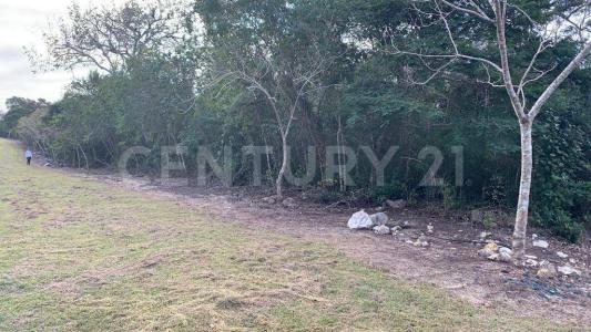 carr. Berriozabal a Ocozocoautla a 500 m del fracc. Punta Diamante S/N,, Berriozabal, Chiapas 29130, Mexico