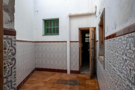 圣克鲁斯-德特内里费, Canarias 38107, 西班牙