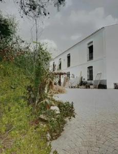Málaga, Andalucía 29590, España