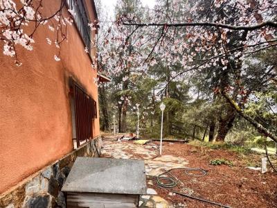 Alacant/Alicante, Comunitat Valenciana 03818, Spain