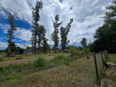 TALA Y JARDIN , Exaltación De La Cruz, GBA Norte 6703, 阿根廷