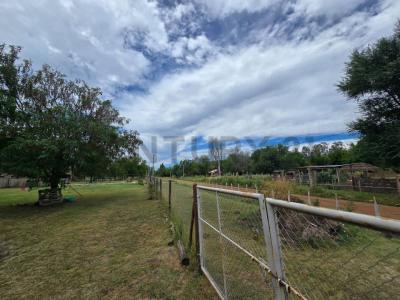 TALA Y JARDIN , Exaltación De La Cruz, GBA Norte 6703, 阿根廷