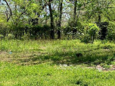 368 1st NE, Paris, Texas 75460, HOA KỲ