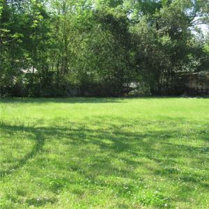 619 Hogg Street, Mineola, Texas 75773, HOA KỲ