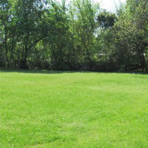 619 Hogg Street, Mineola, Texas 75773, HOA KỲ