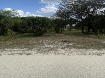 19376 NW 256th Street, Okeechobee, Florida 34972, Estados Unidos