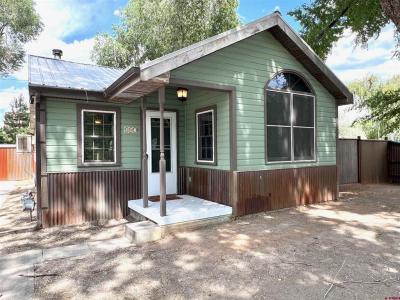 307 S San Juan Avenue, Montrose, Colorado 81401, Estados Unidos