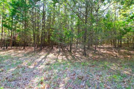 0 Emma Cudd Road, Spartanburg, South Carolina 29346, USA