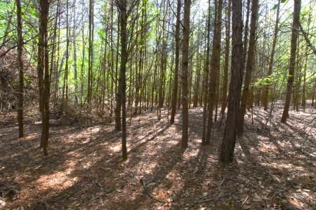 0 Emma Cudd Road, Spartanburg, South Carolina 29346, USA