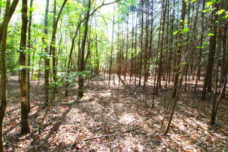 0 Emma Cudd Road, Spartanburg, South Carolina 29346, USA