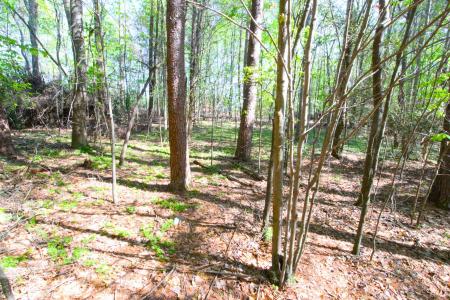 0 Emma Cudd Road, Spartanburg, South Carolina 29346, USA
