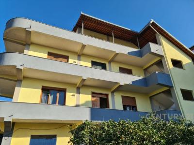 Medreseja, Tirana, Albania