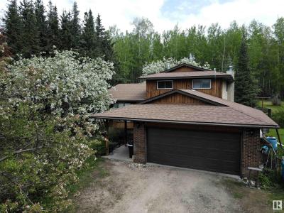 #201 49510 HIGHWAY 22, Rural Brazeau County, Alberta T7A 1S7, Canadá