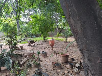 Phalaborwa, Limpopo, South Africa