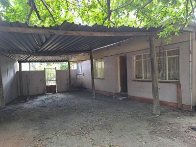 Phalaborwa, Limpopo, South Africa