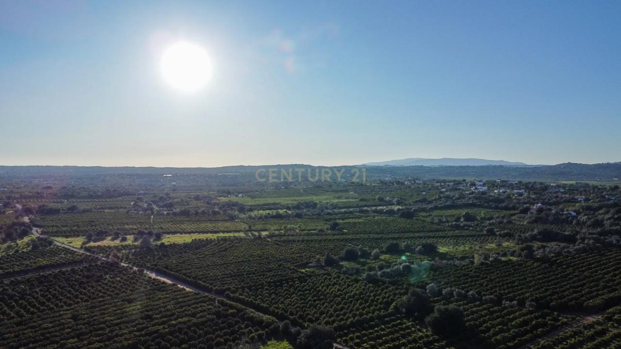 Silves, 파로 8375-023, 포르투갈